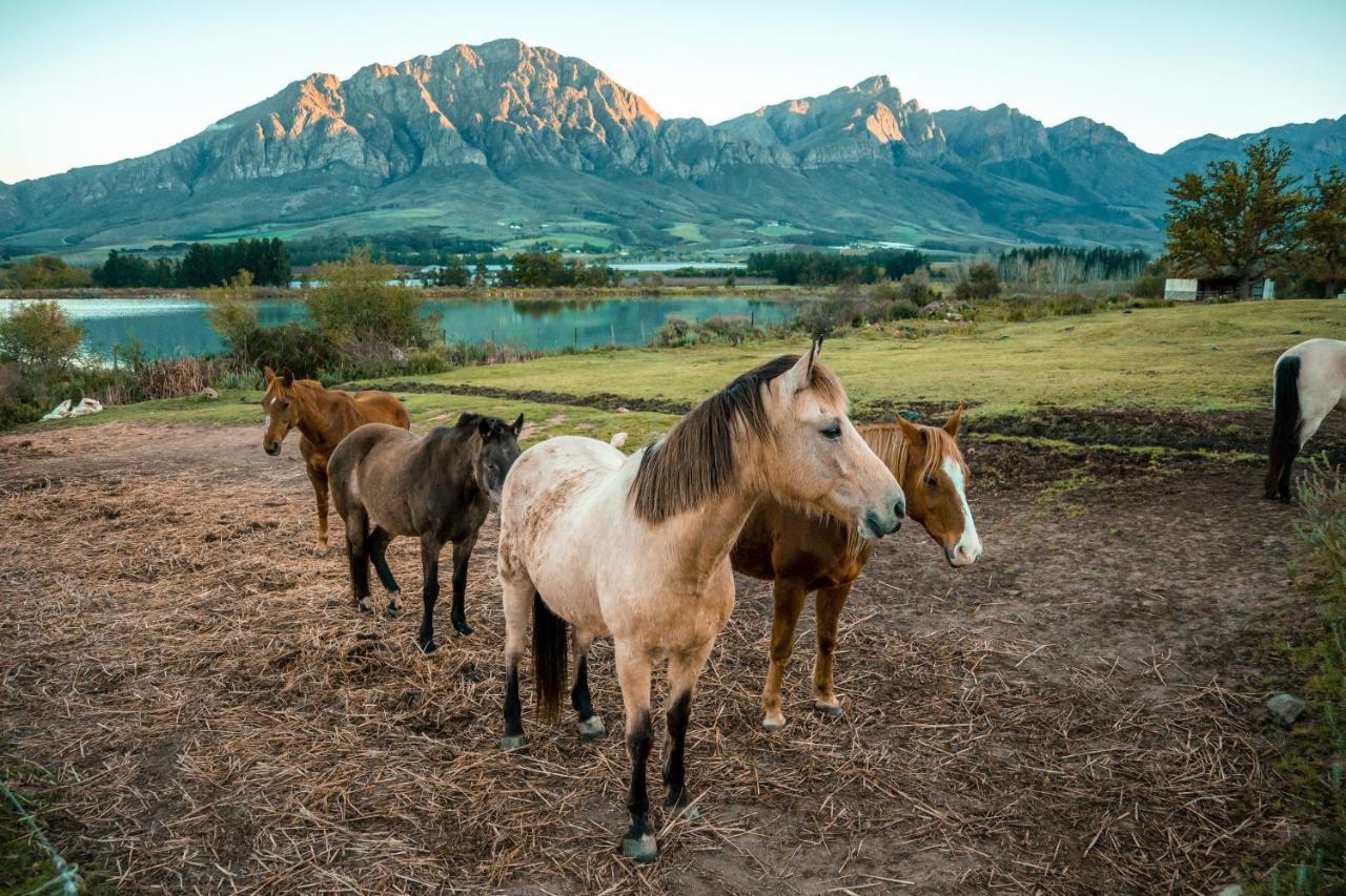 Tulbagh Boutique Heritage Hotel Kültér fotó